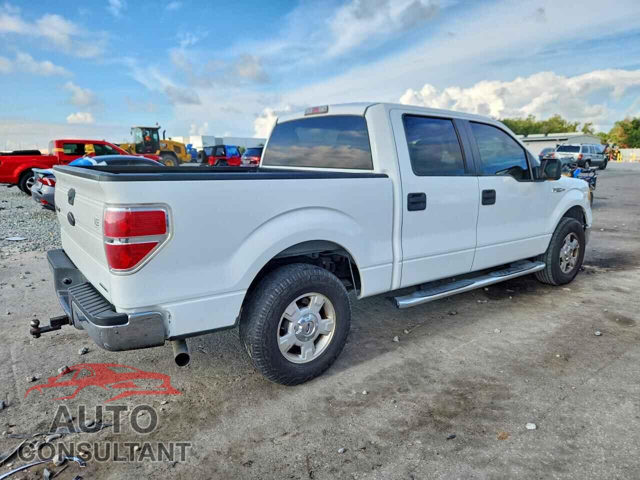 FORD F150 2011 - 1FTFW1CF8BFD36784