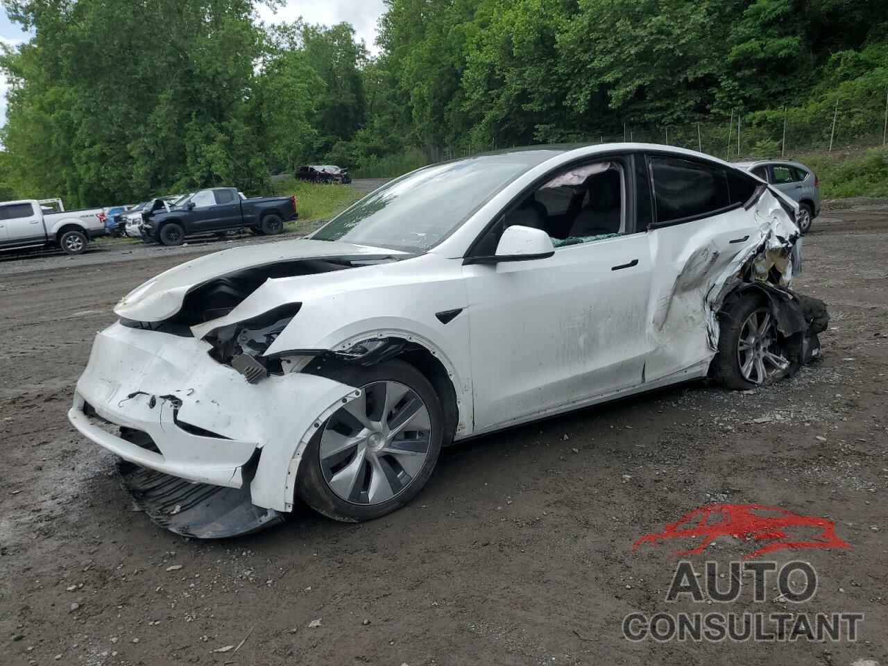 TESLA MODEL Y 2023 - 7SAYGAEE2PF612160