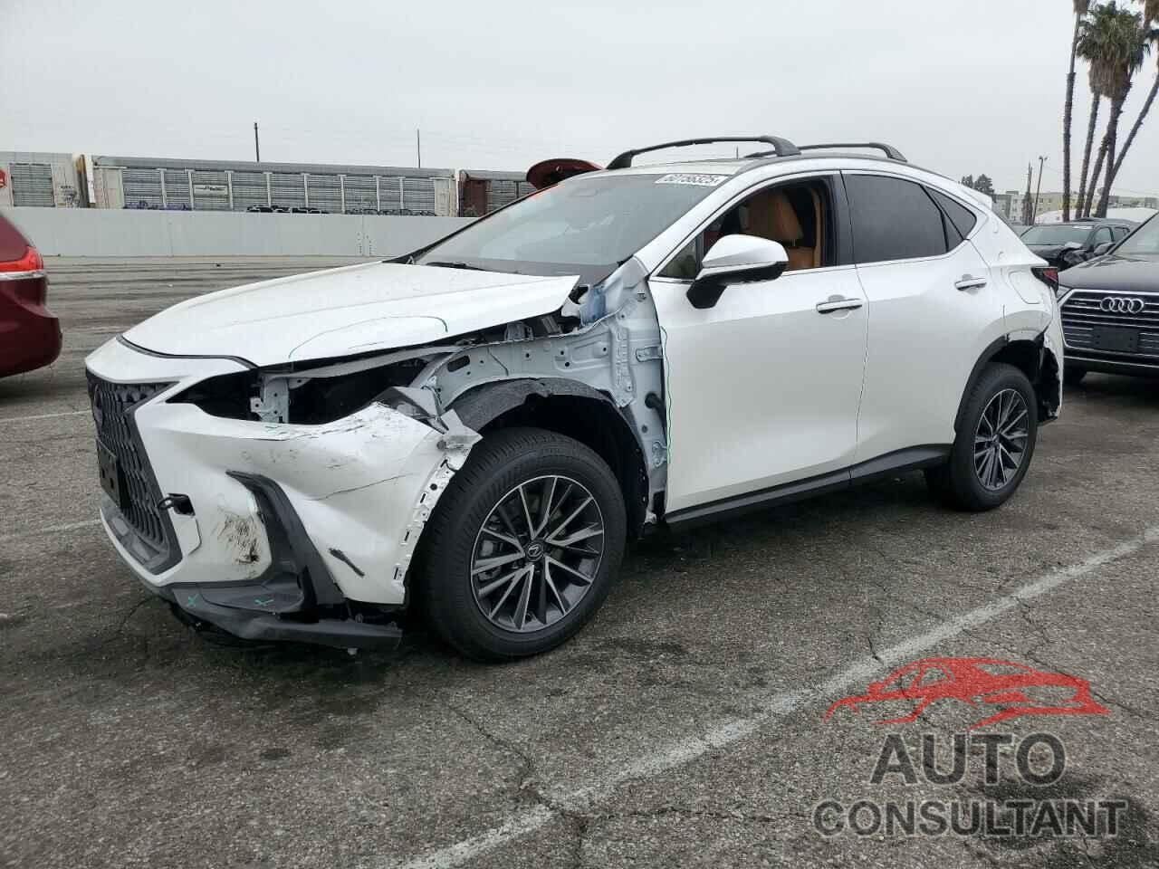 LEXUS NX 350H BA 2025 - JTJGKCEZ4S5034124