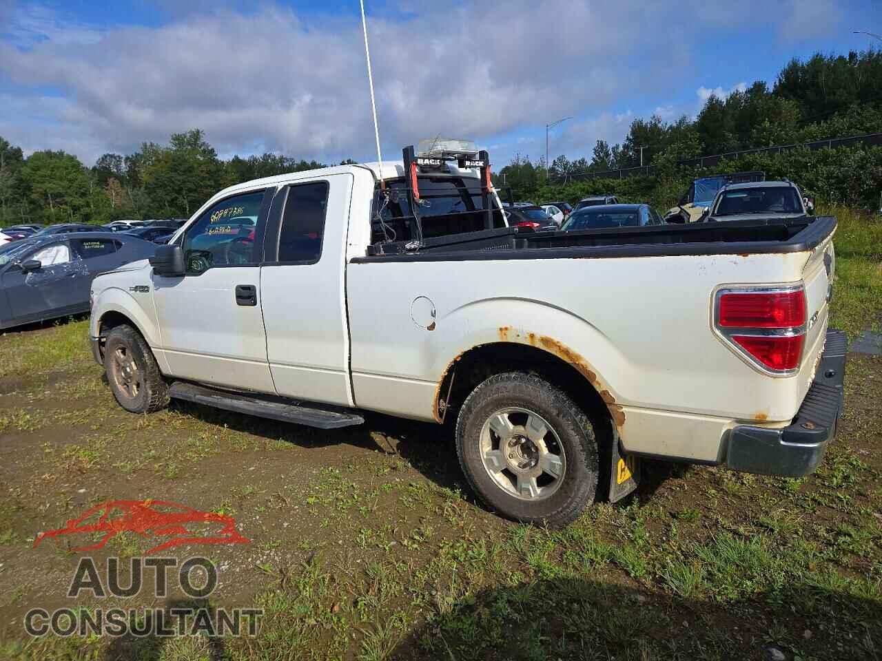 FORD F150 2012 - 1FTFX1EF7CFB88526