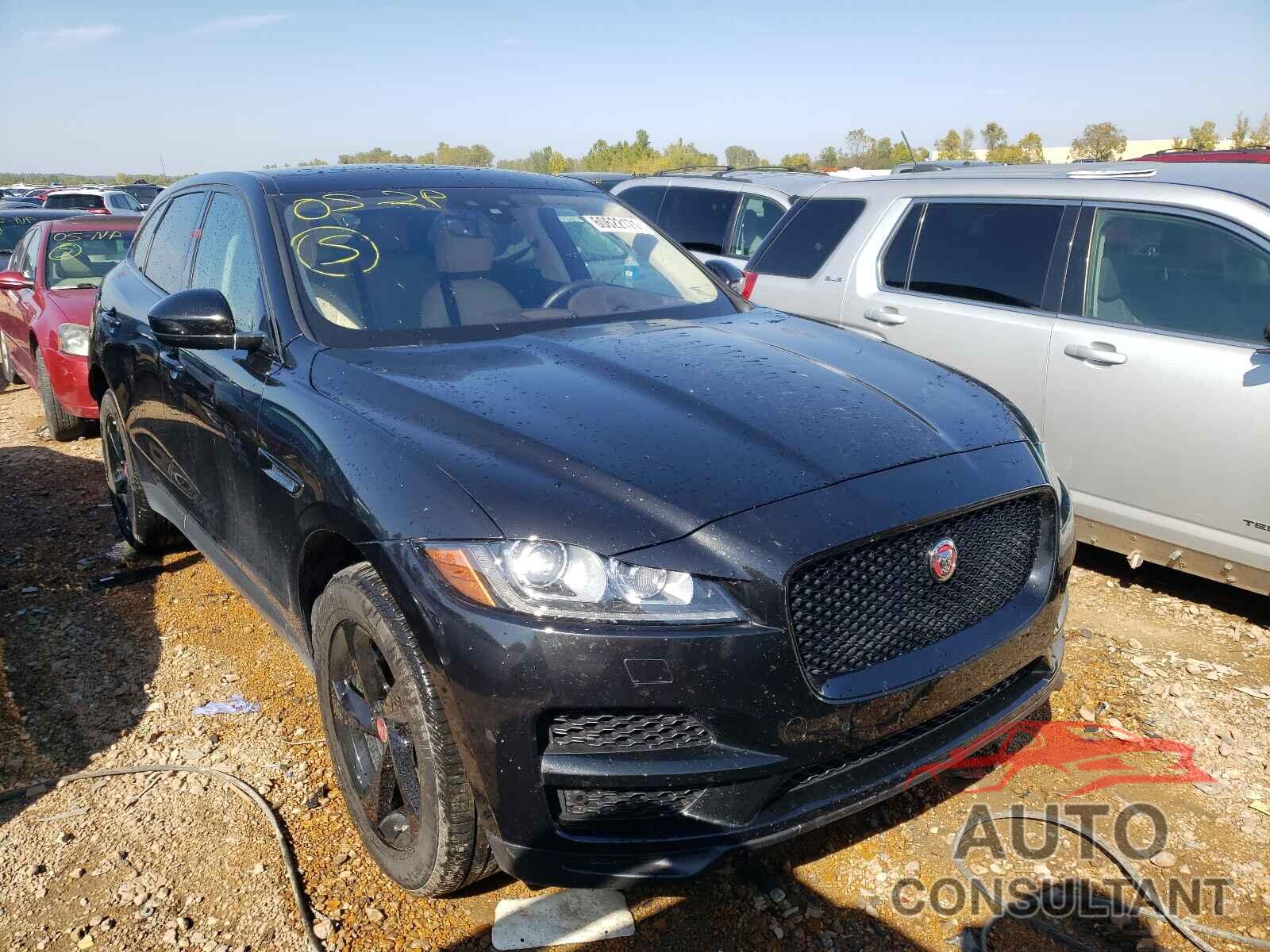 JAGUAR F-PACE 2020 - SADCK2GX1LA653249