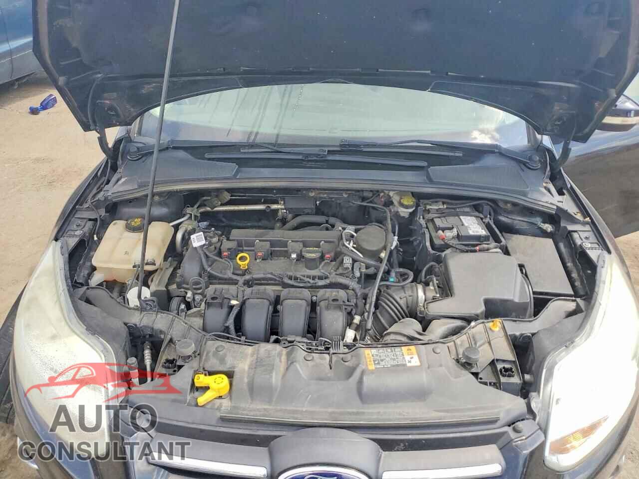 FORD FOCUS 2014 - 1FADP3F28EL320816