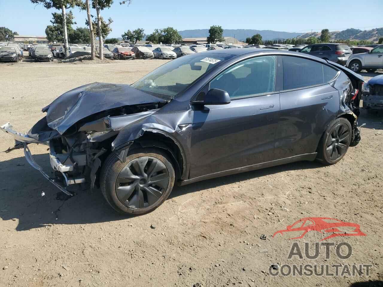 TESLA MODEL Y 2024 - 7SAYGDED0RF125308