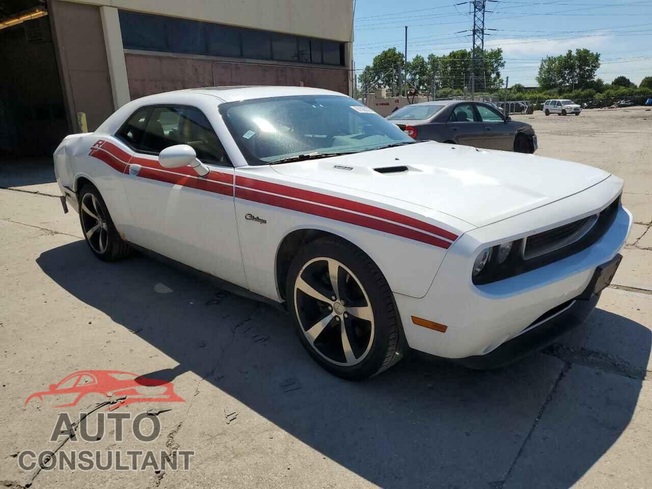 DODGE CHALLENGER 2013 - 2C3CDYBT2DH729193