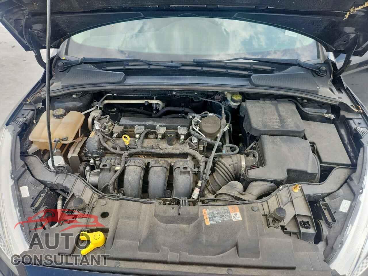 FORD FOCUS 2016 - 1FADP3E27GL252531