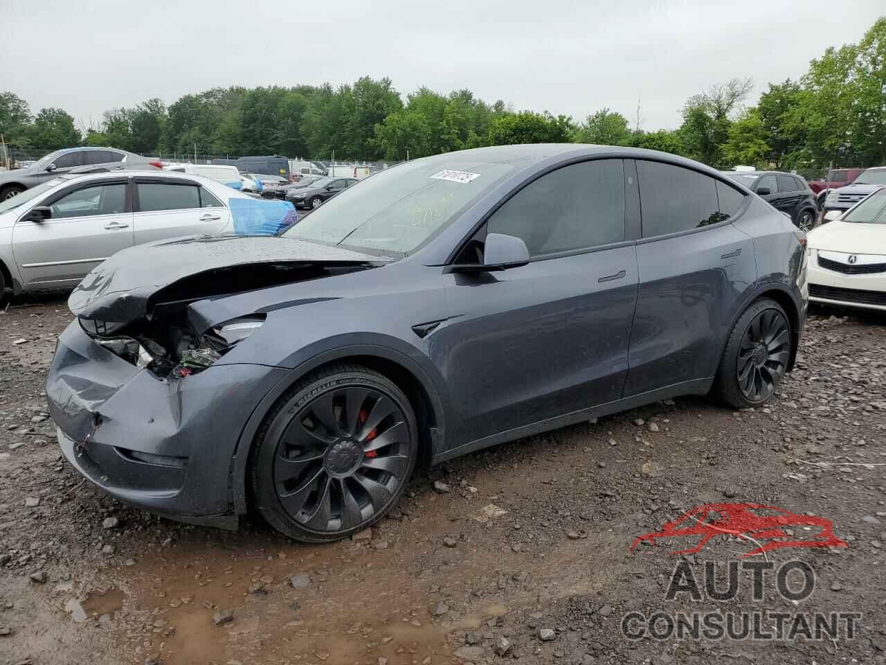 TESLA MODEL Y 2023 - 7SAYGDEF1PF848955
