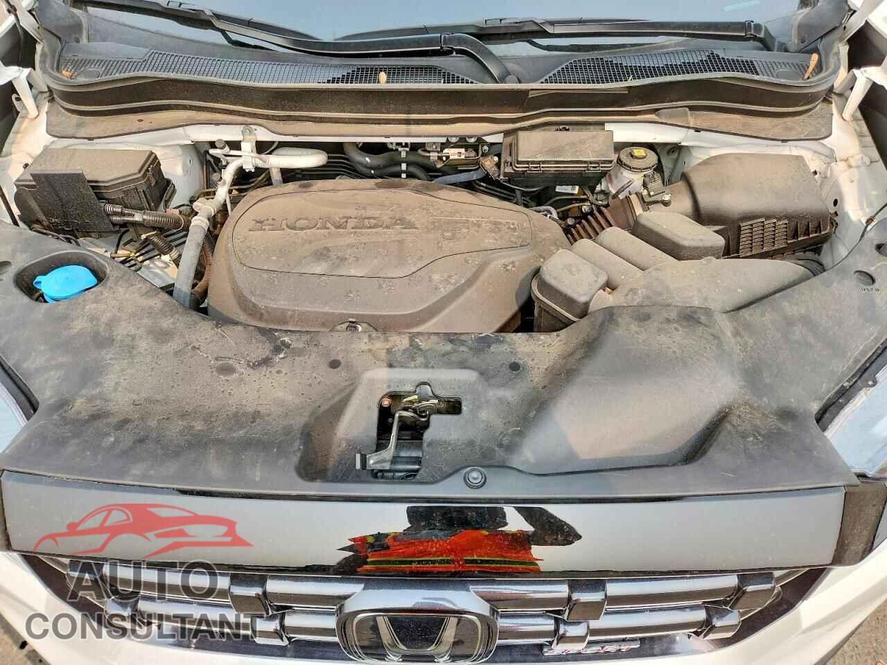 HONDA RIDGELINE 2024 - 5FPYK3F10RB021502