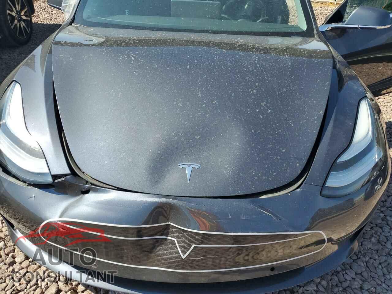 TESLA MODEL 3 2019 - 5YJ3E1EAXKF400173