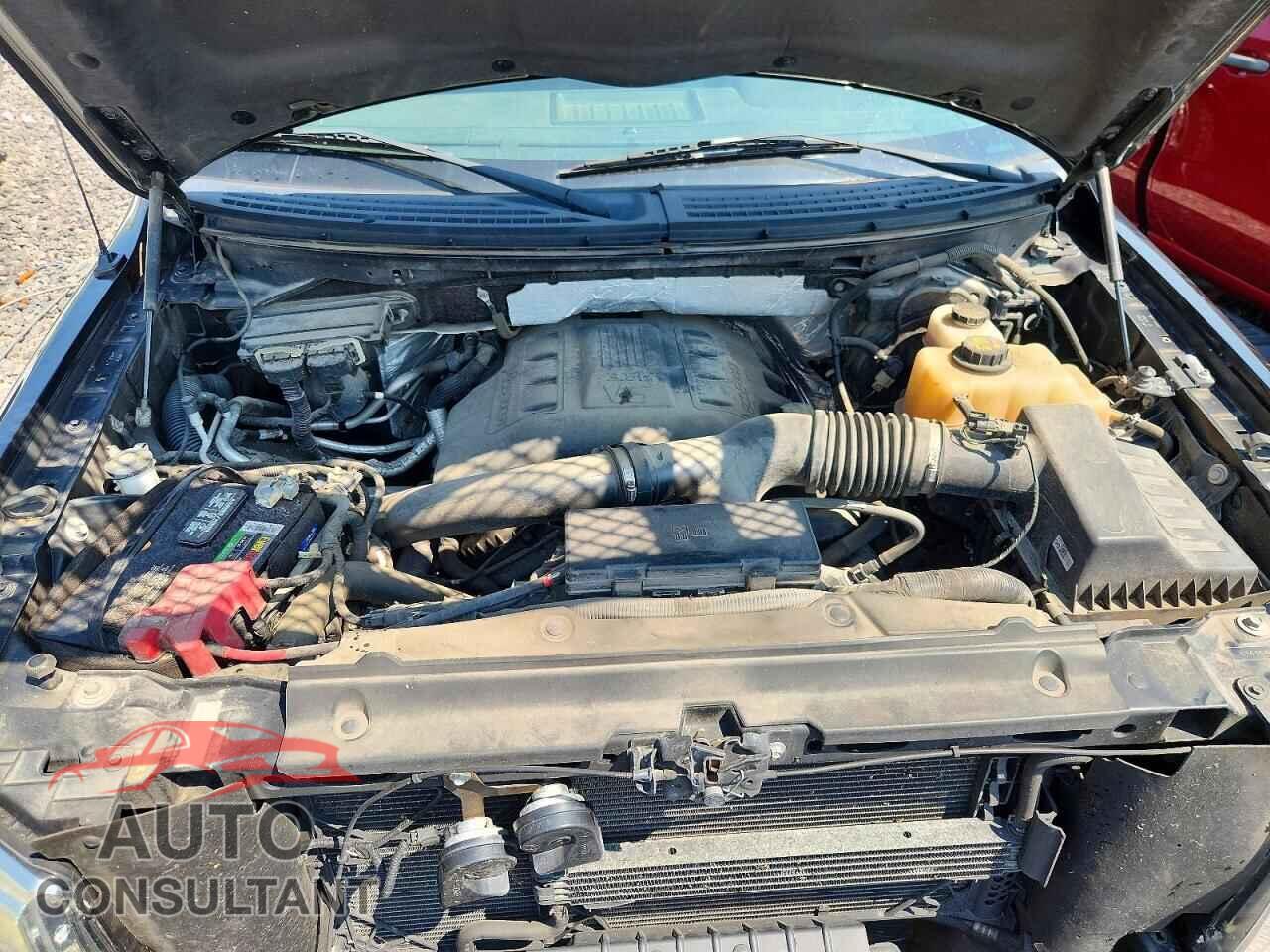 FORD All Models 2012 - 1FTFW1ET9CKD29287