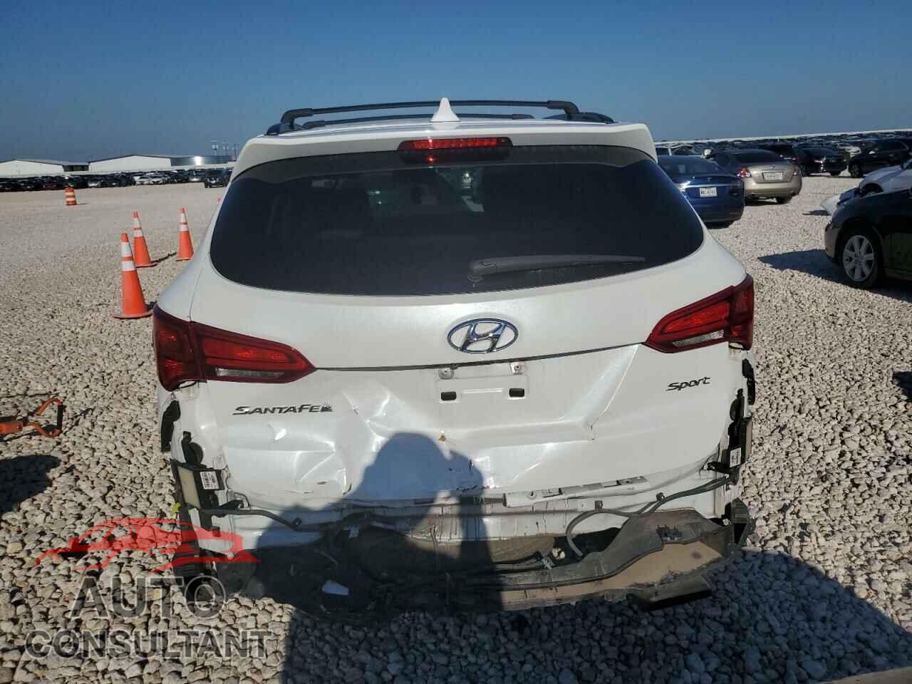 HYUNDAI SANTA FE 2017 - 5NMZU3LB2HH002242