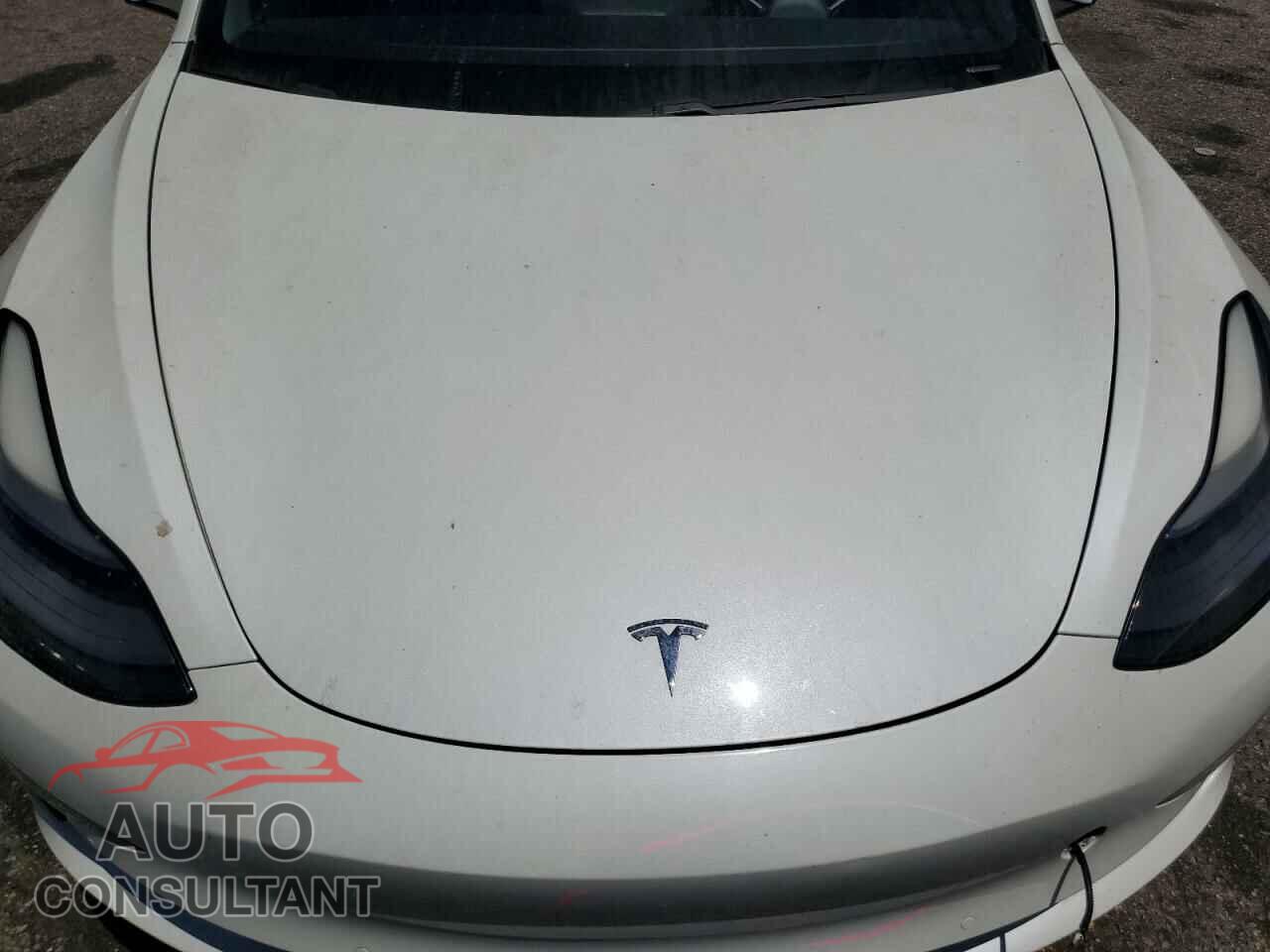 TESLA MODEL 3 2021 - 5YJ3E1EA8MF021966