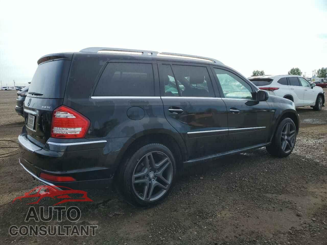 MERCEDES-BENZ GL-CLASS 2010 - 4JGBF2FE4AA581841
