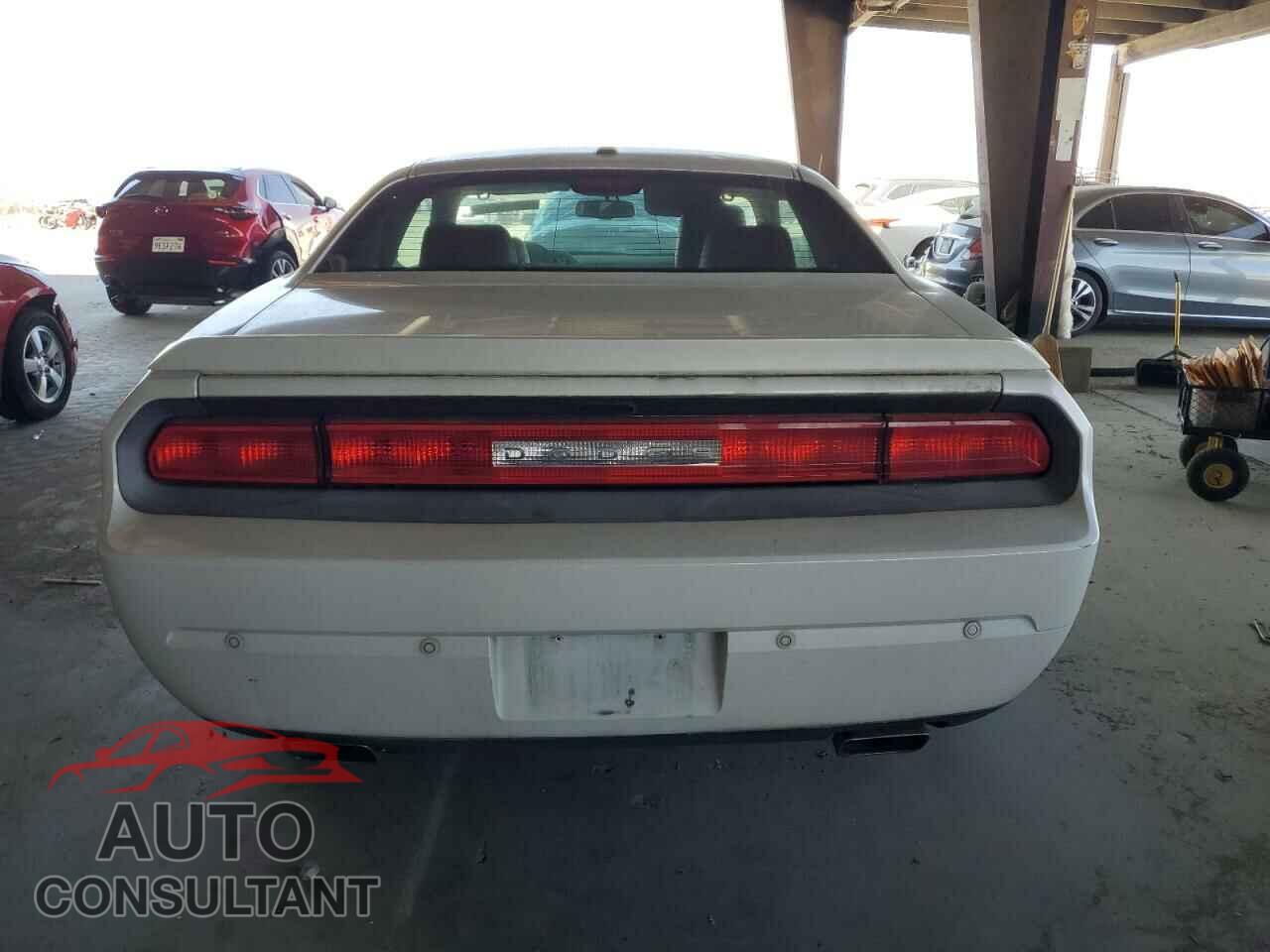 DODGE CHALLENGER 2014 - 2C3CDYBTXEH242065
