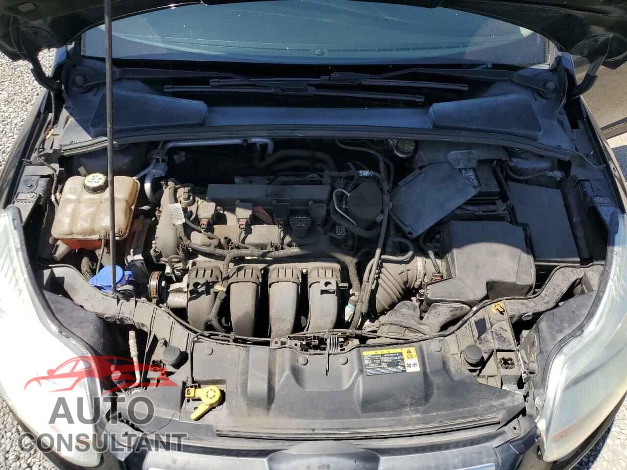 FORD FOCUS 2013 - 1FADP3K21DL374110