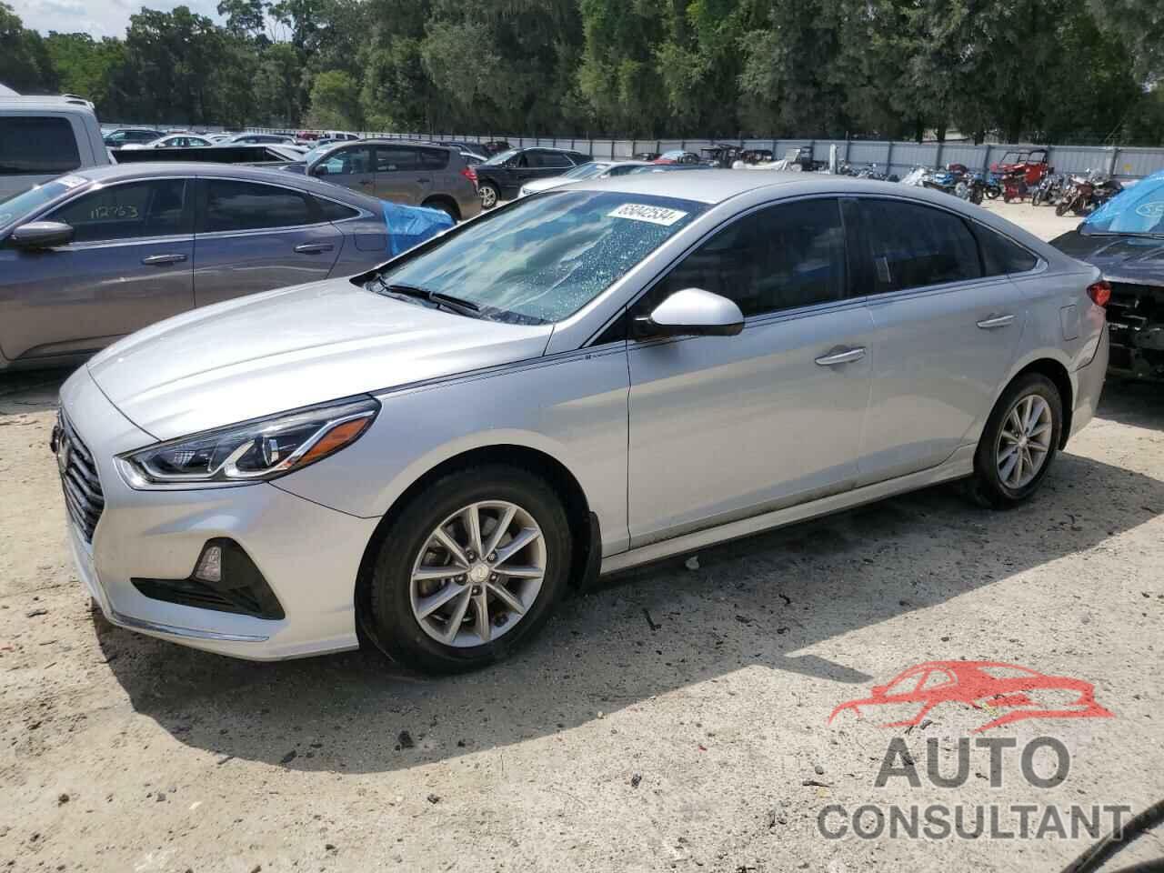 HYUNDAI SONATA 2019 - 5NPE24AF7KH779641