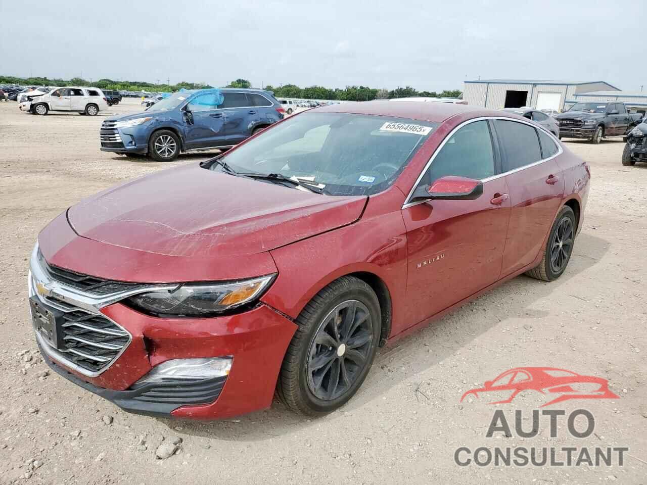 CHEVROLET MALIBU 2021 - 1G1ZD5ST7MF017356