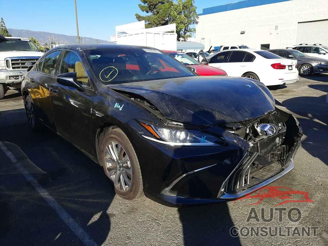 LEXUS ES300 2021 - 58ACA1C18MU010458