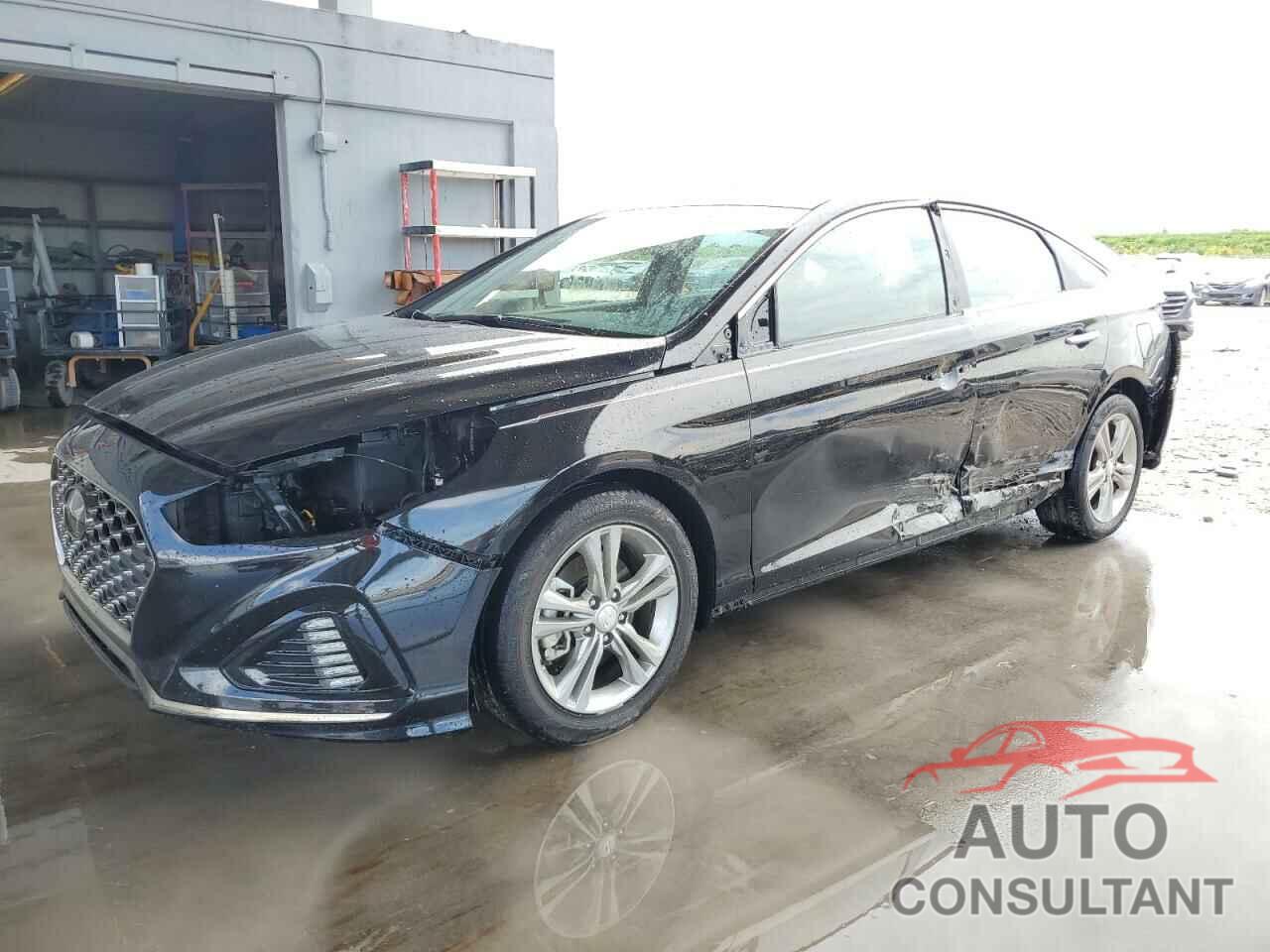 HYUNDAI SONATA 2019 - 5NPE34AFXKH736571