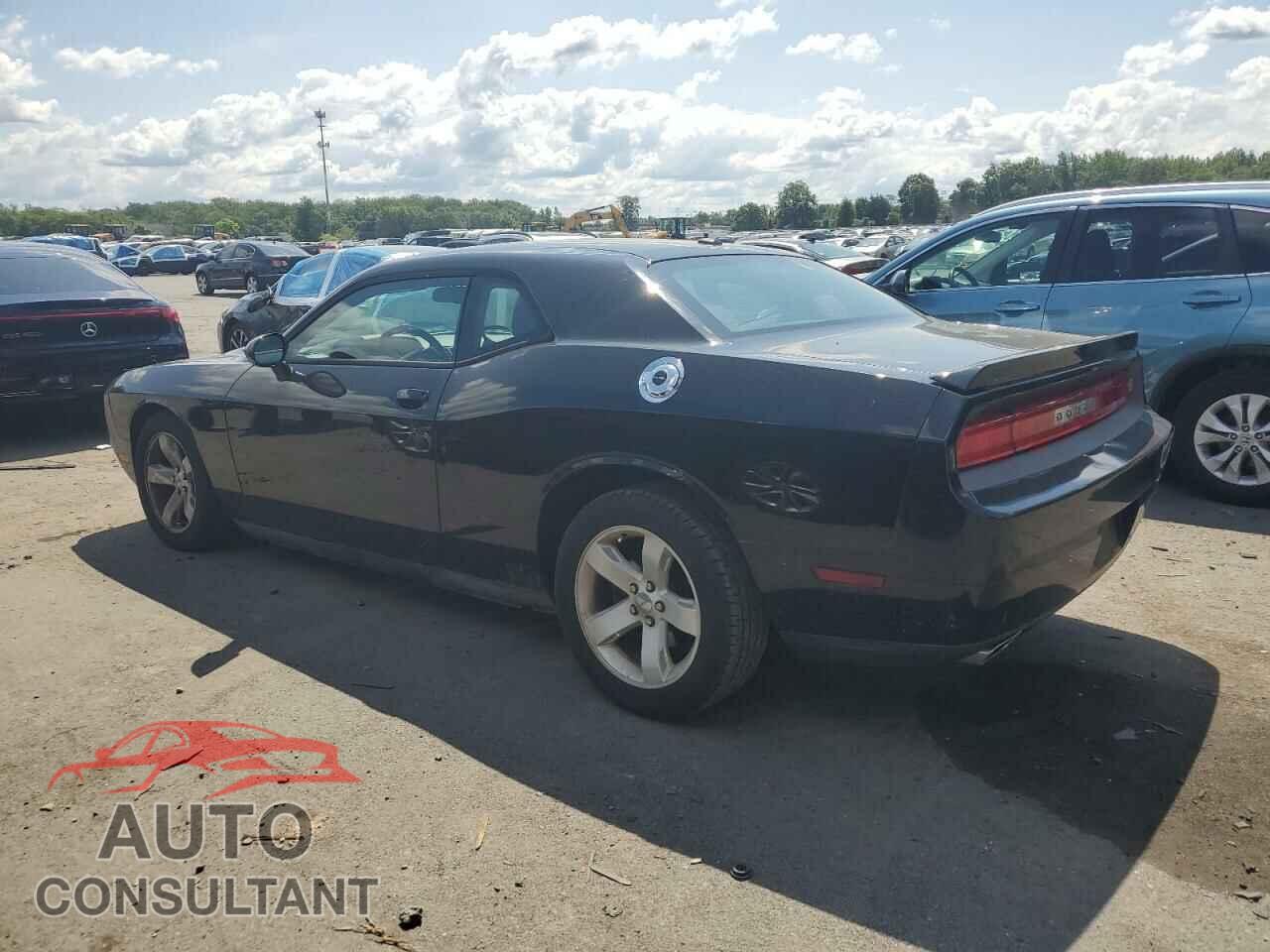 DODGE CHALLENGER 2013 - 2C3CDYBT1DH535366