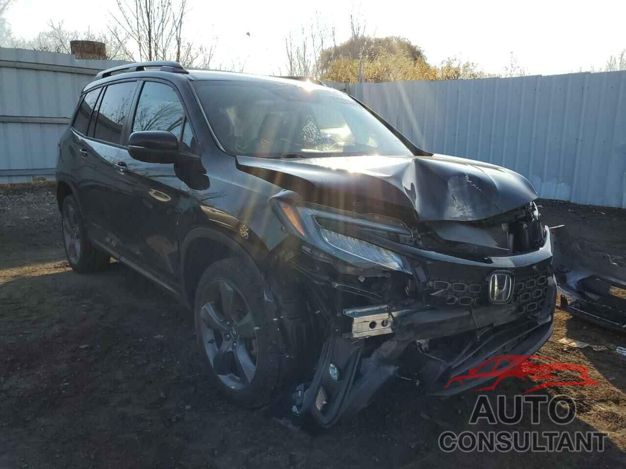 HONDA PASSPORT 2019 - 5FNYF8H92KB006390