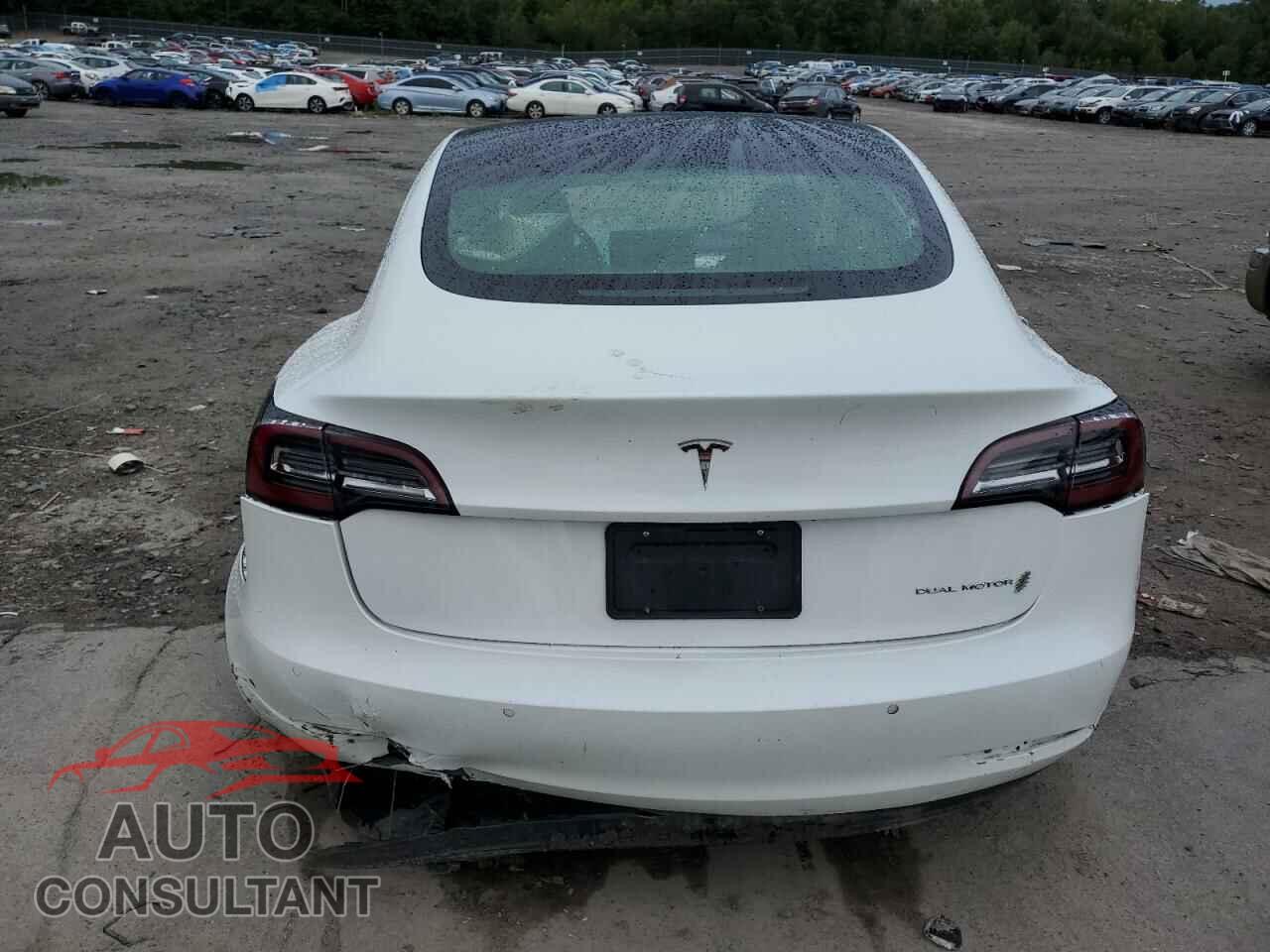 TESLA MODEL 3 2020 - 5YJ3E1EB8LF628795