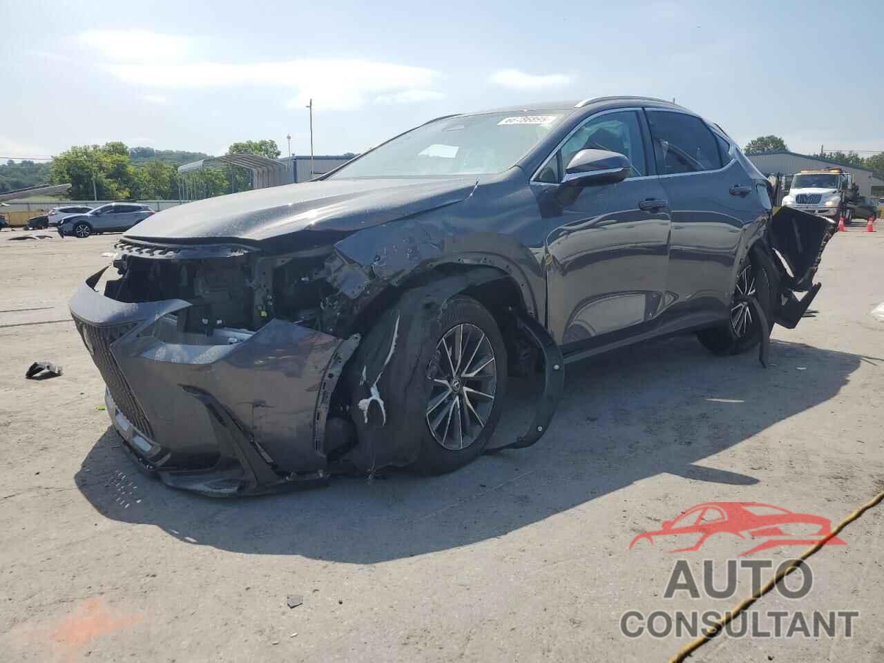 LEXUS NX 250 BAS 2024 - 2T2ADCAZ8RC007929