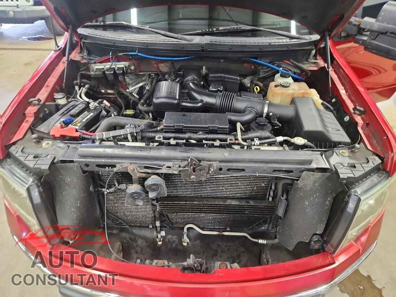 FORD F150 2010 - 1FTFX1EV6AFC93370