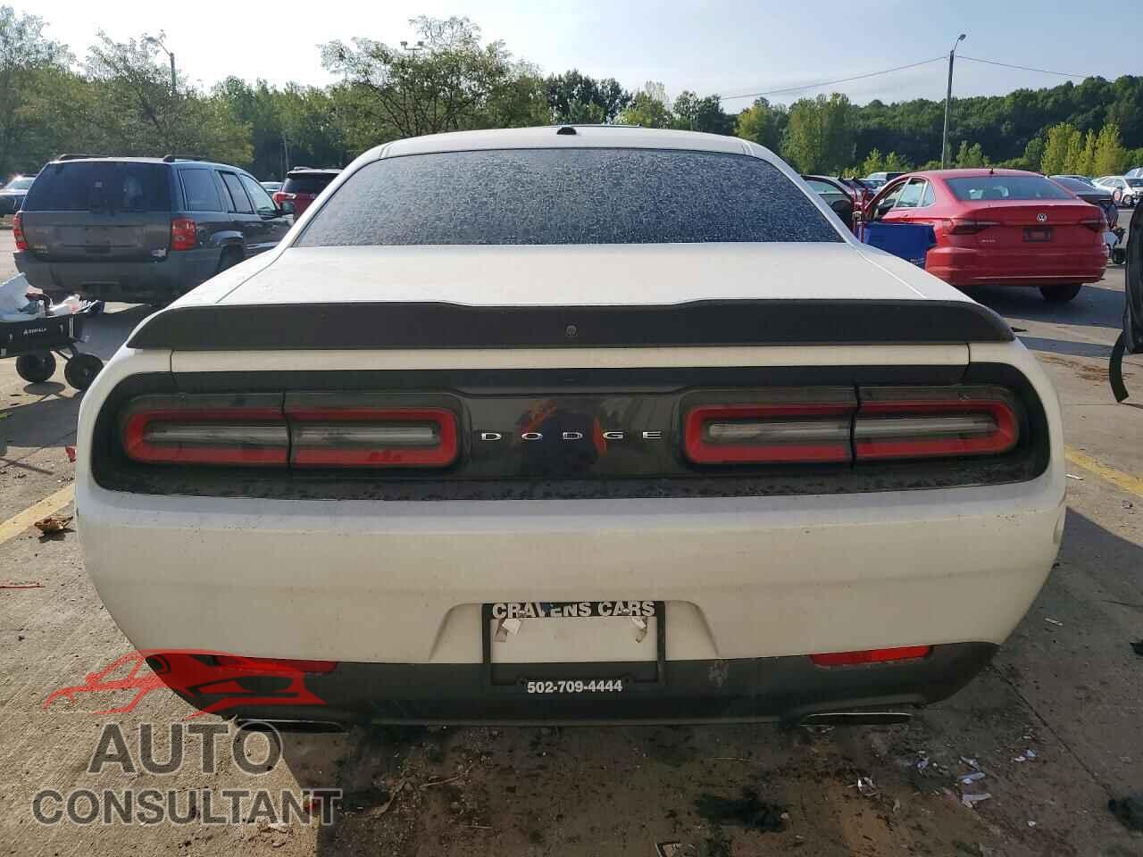 DODGE CHALLENGER 2019 - 2C3CDZBT8KH513383