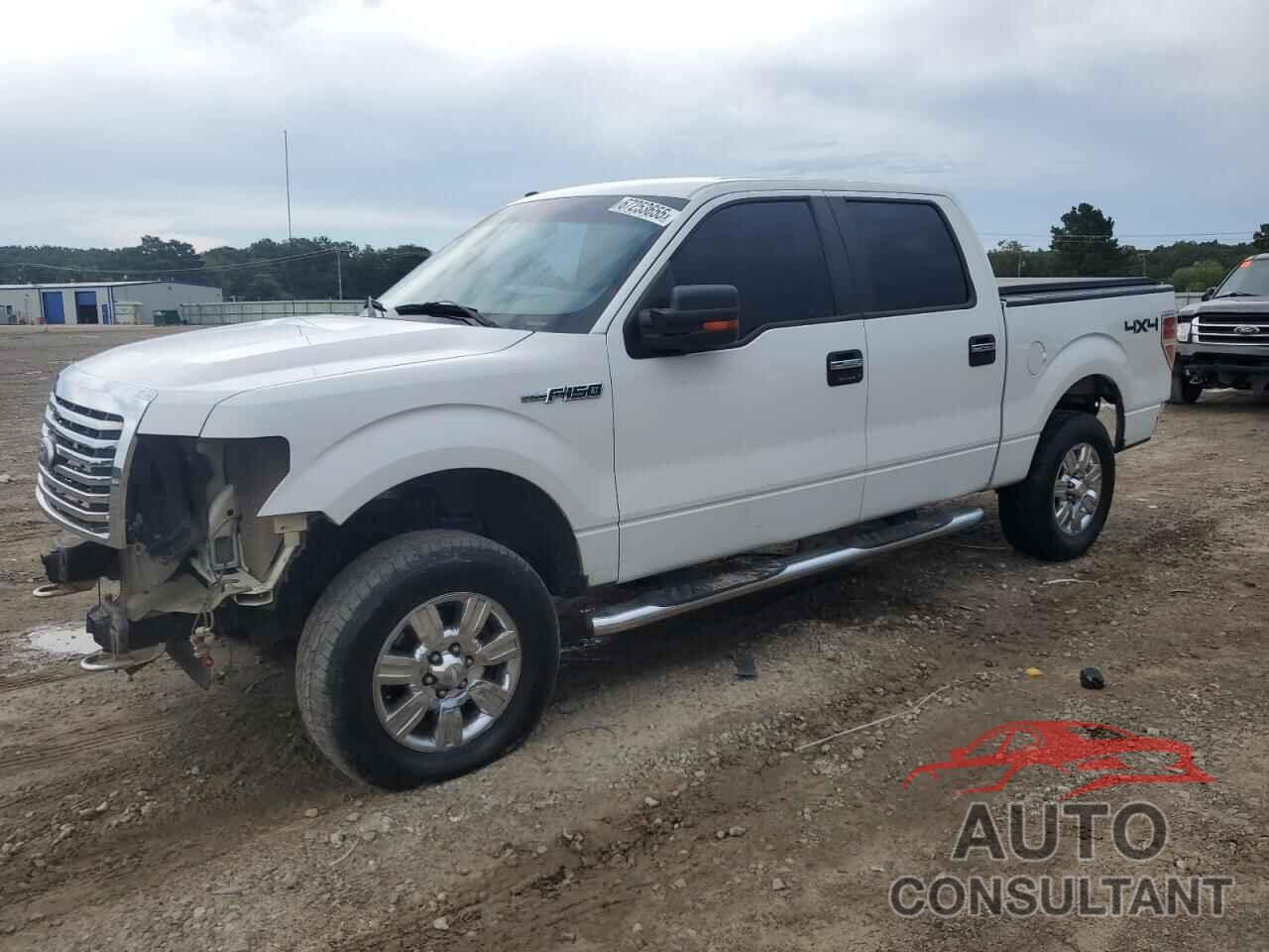 FORD F-150 2010 - 1FTFW1EV3AFA78841