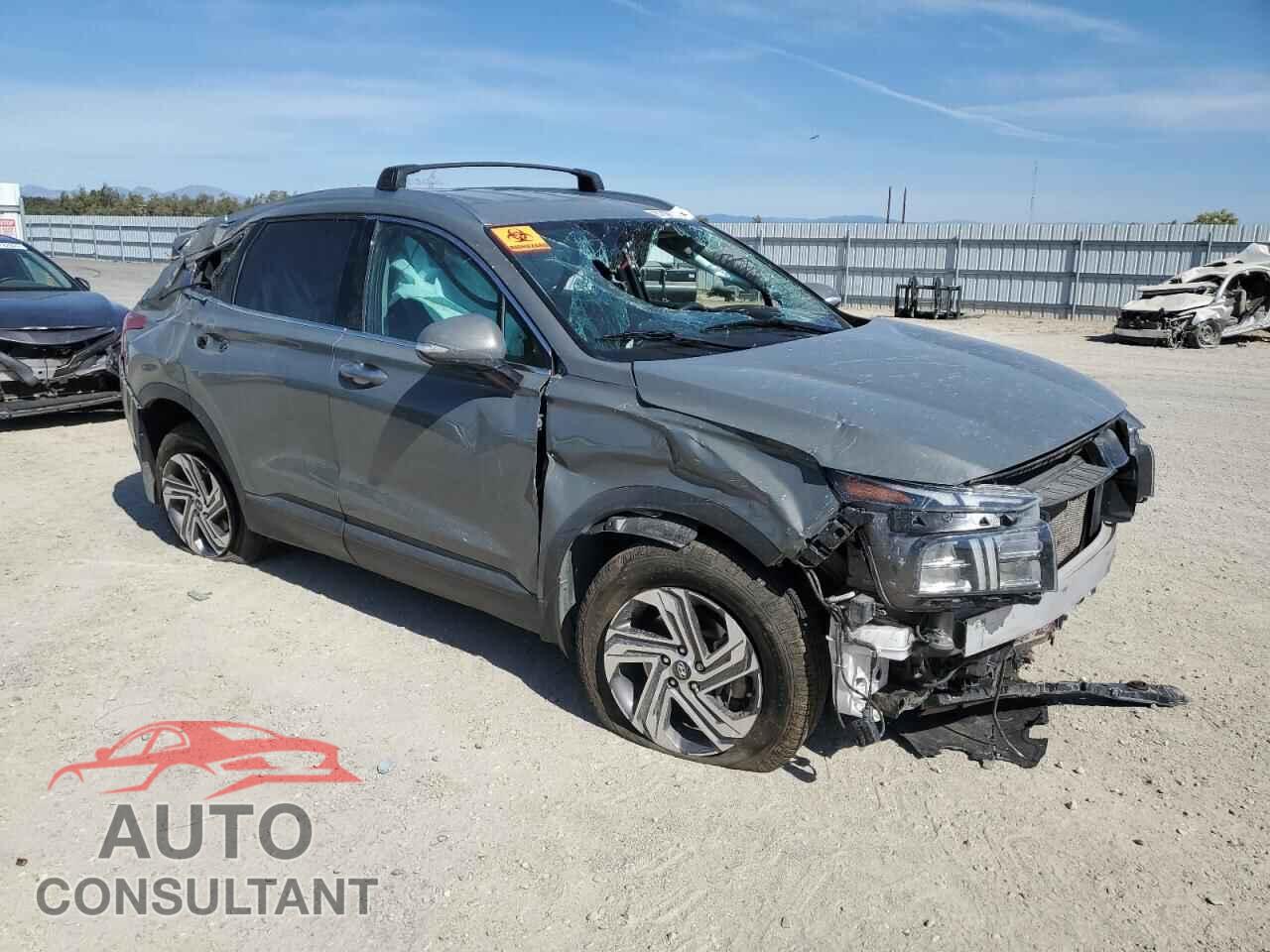 HYUNDAI SANTA FE 2023 - 5NMS2DAJ9PH596348