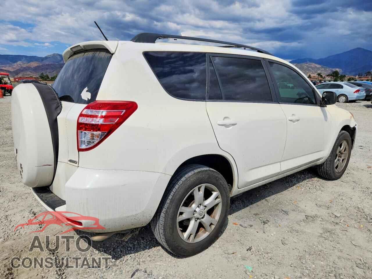 TOYOTA RAV4 2011 - 2T3BF4DV3BW095821