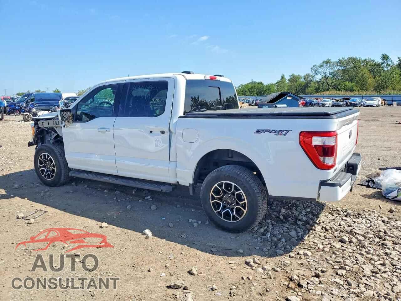 FORD F150 2023 - 1FTEW1EP5PFB10176