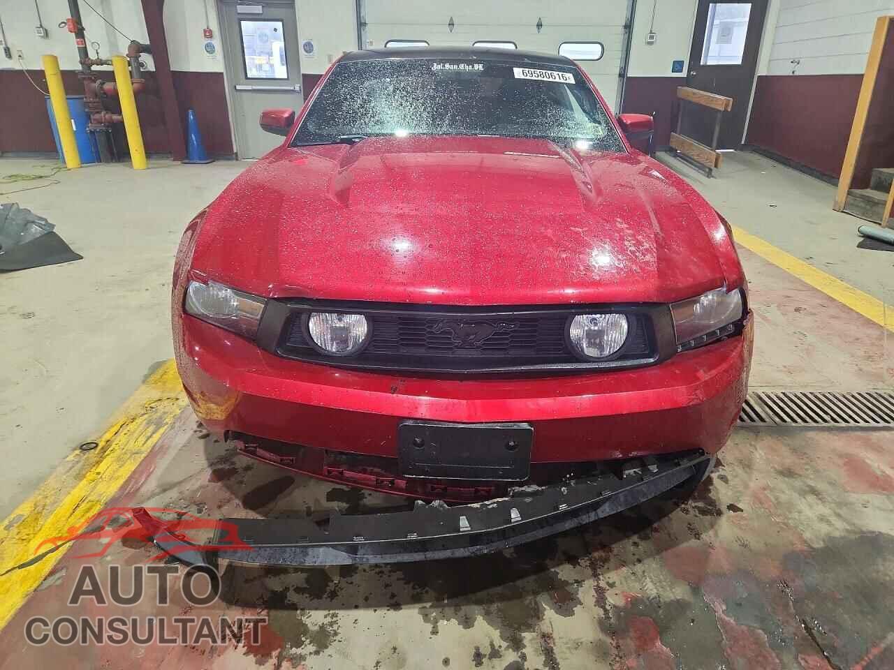 FORD MUSTANG 2010 - 1ZVBP8CH2A5120775