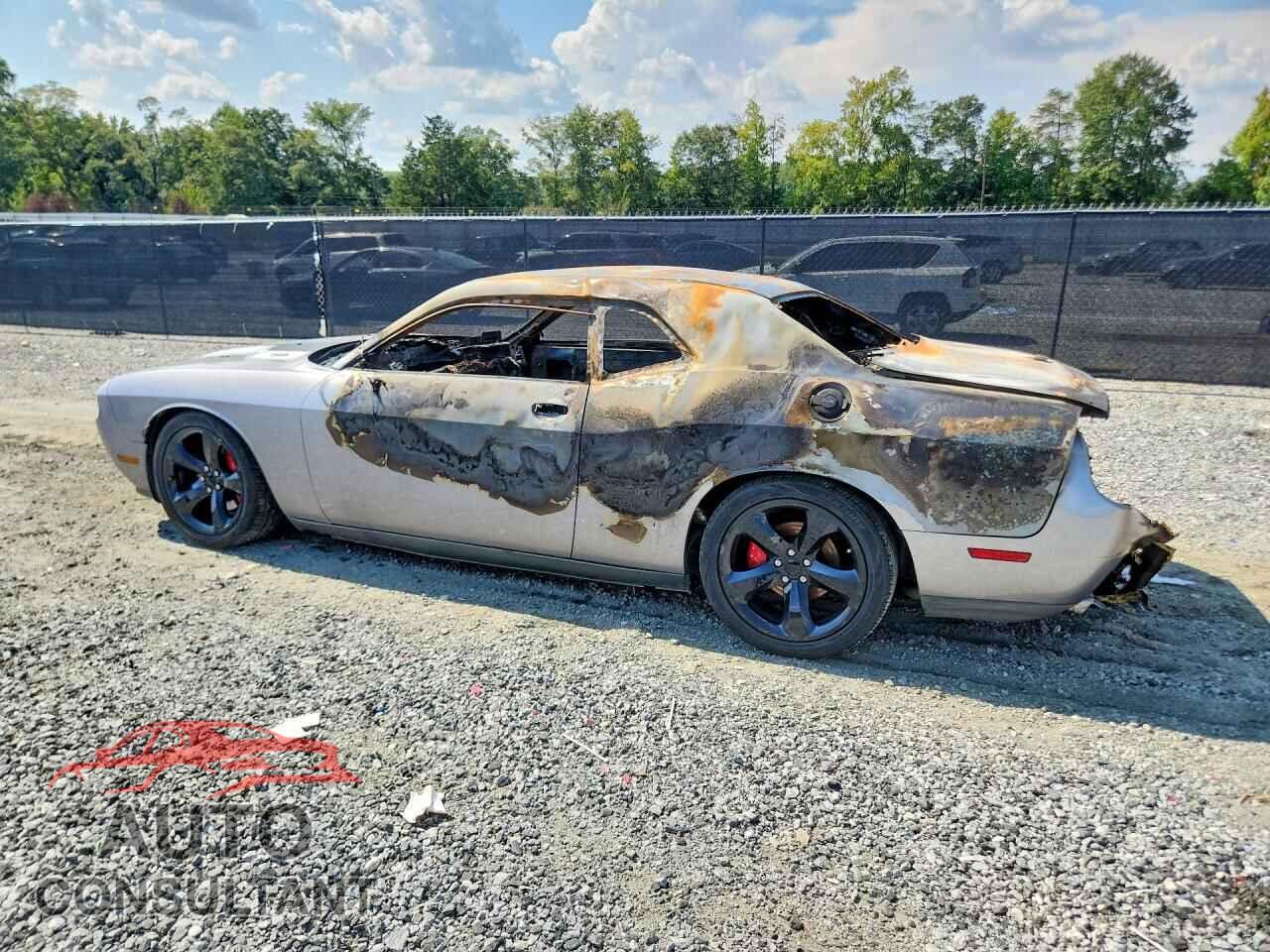 DODGE CHALLENGER 2013 - 2C3CDYBT0DH631439