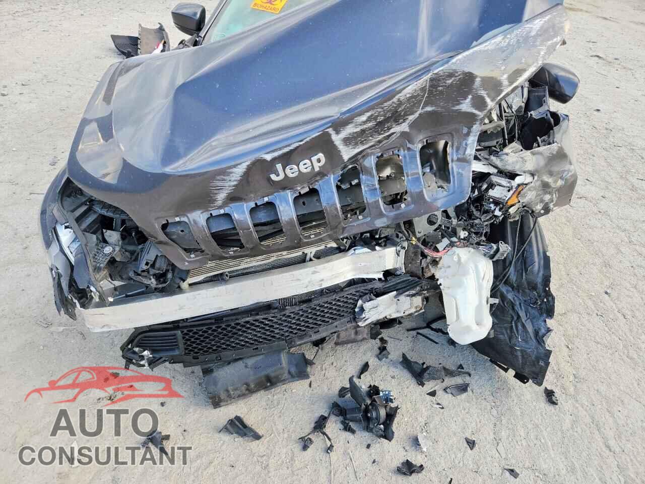 JEEP CHEROKEE 2019 - 1C4PJMLB2KD433086