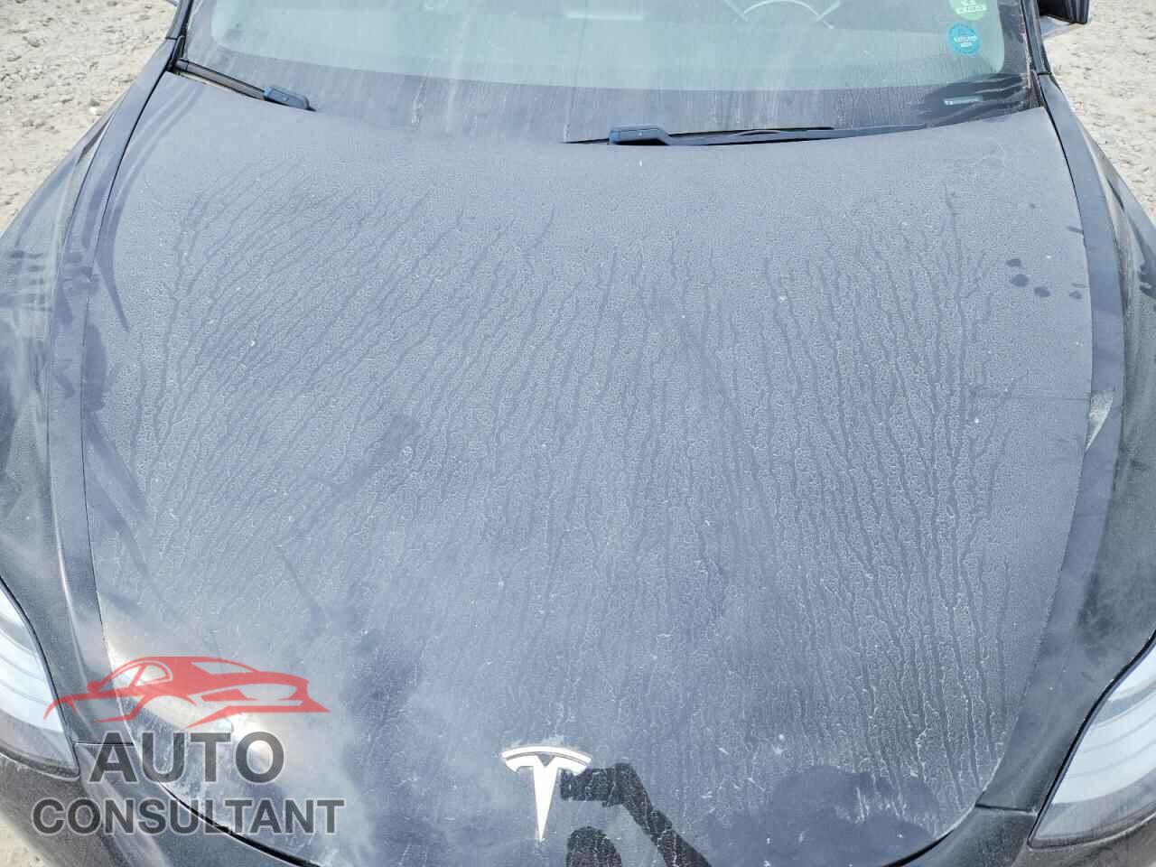 TESLA MODEL 3 2019 - 5YJ3E1EA5KF421089