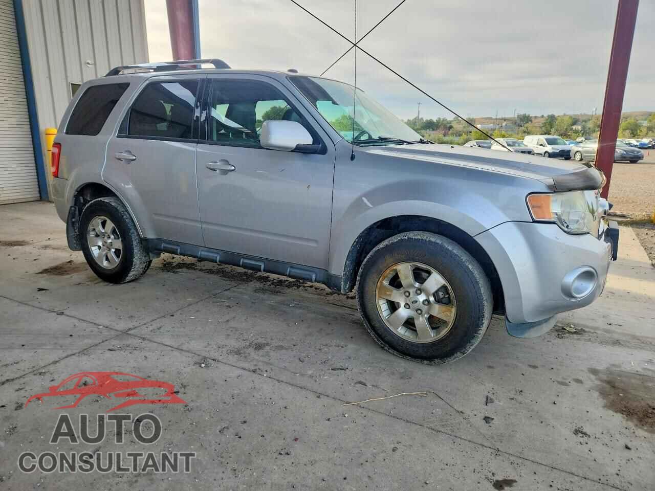FORD ESCAPE 2011 - 1FMCU9EG9BKC54689