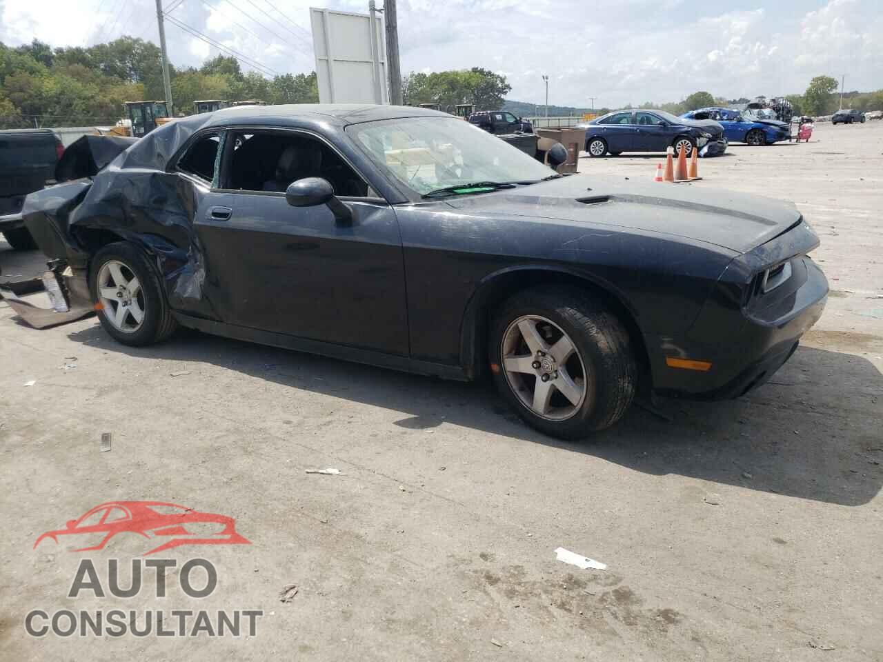 DODGE CHALLENGER 2010 - 2B3CJ4DVXAH154771
