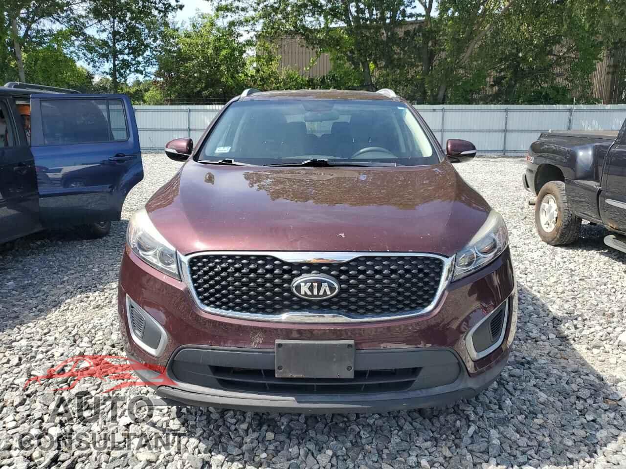 KIA SORENTO 2017 - 5XYPGDA55HG324174
