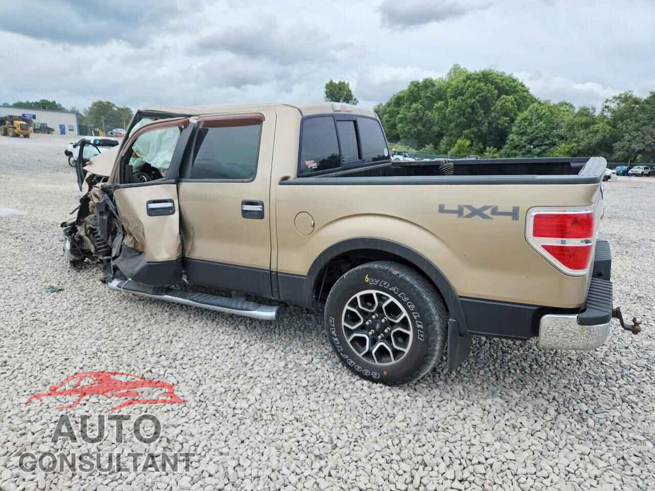 FORD F150 2011 - 1FTFW1EF9BFA98666