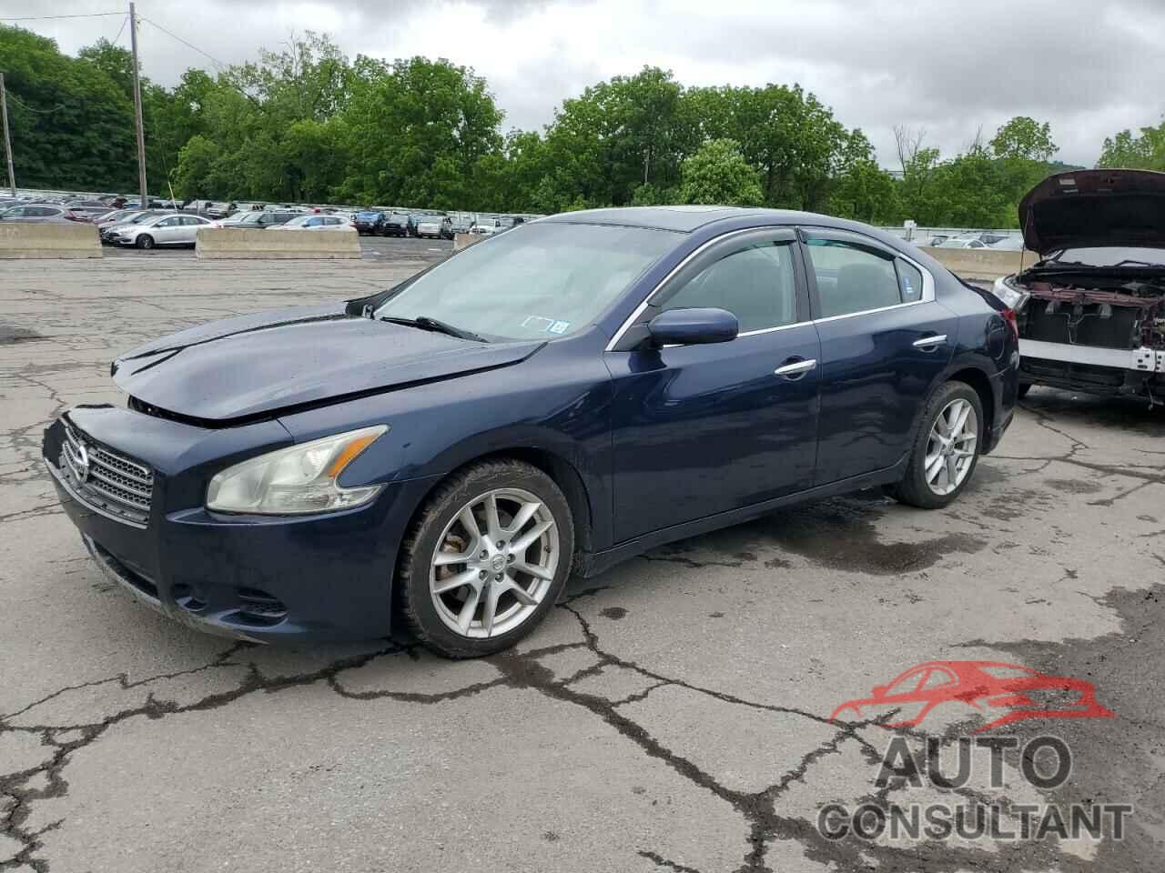 NISSAN MAXIMA 2011 - 1N4AA5AP7BC822781