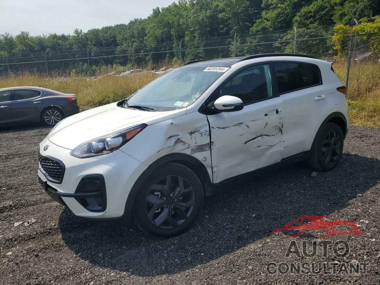 KIA SPORTAGE 2022 - KNDP6CAC9N7998476