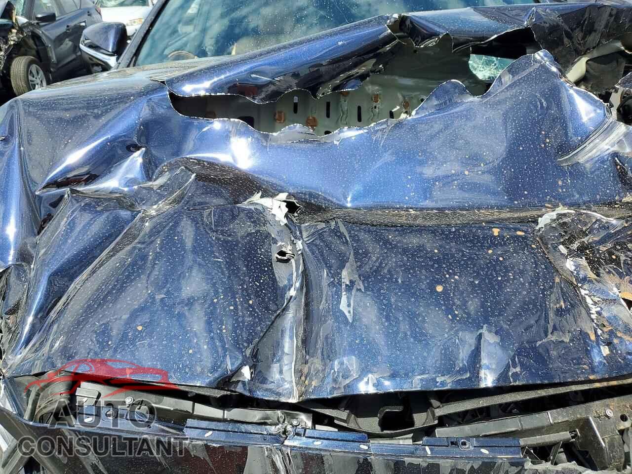 LEXUS UNKNOWN 2025 - 2T2BBMCA5SC074050