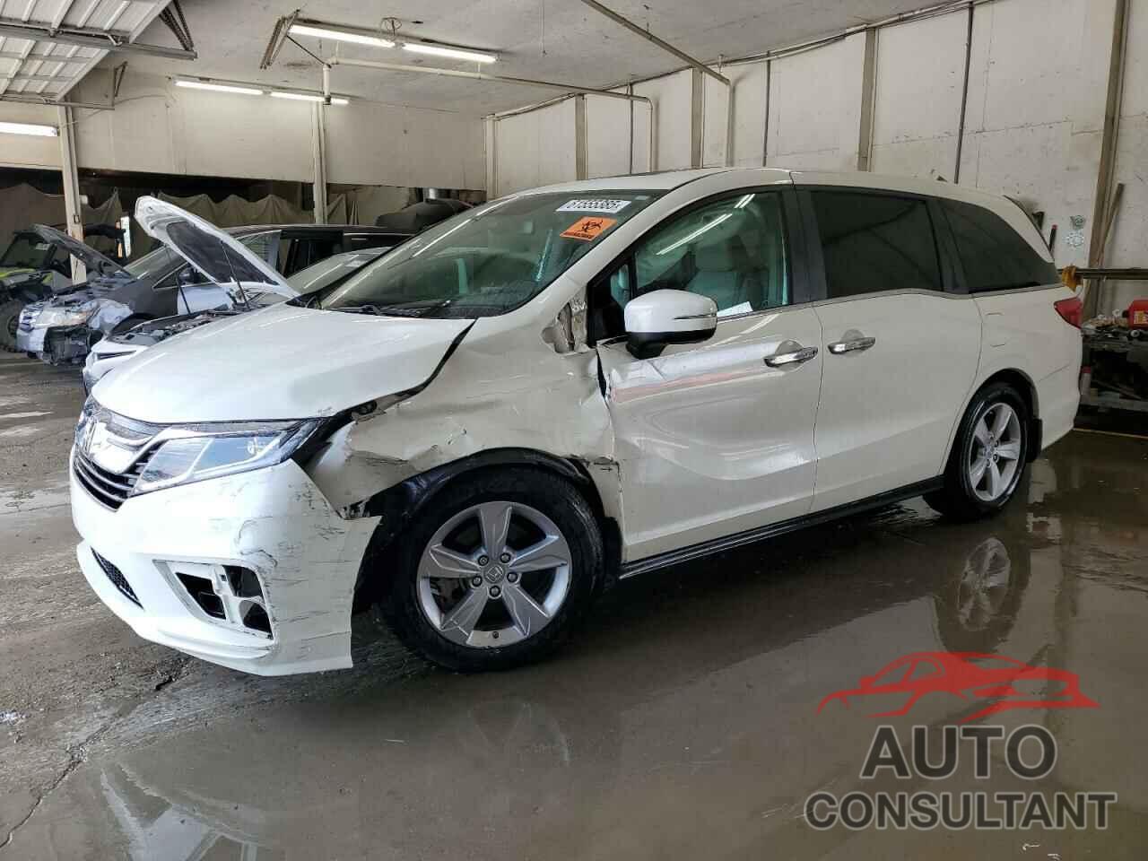 HONDA All Models 2019 - 5FNRL6H72KB099508