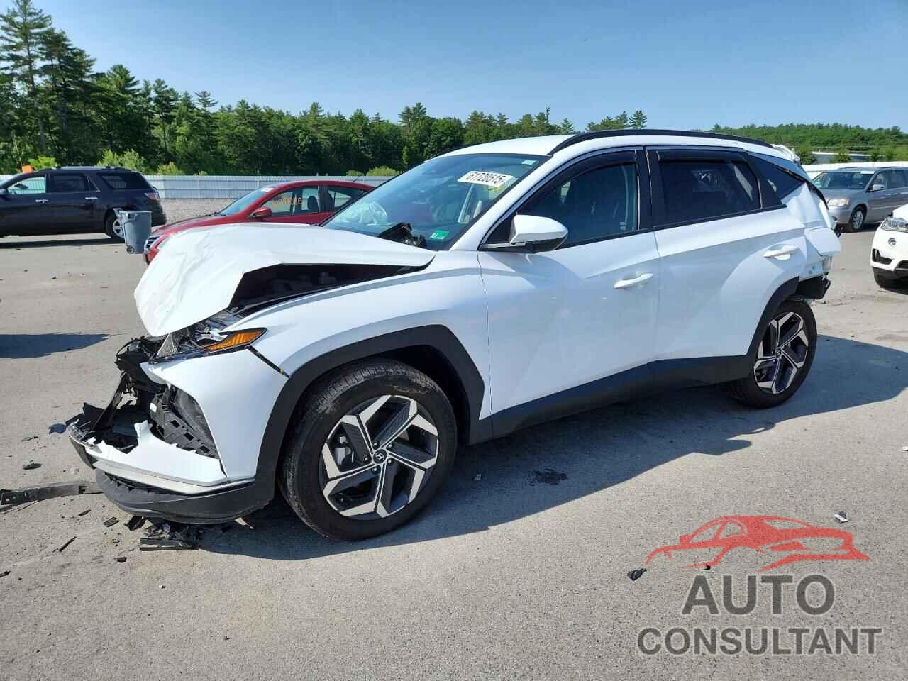 HYUNDAI TUCSON 2024 - KM8JBDD20RU149849