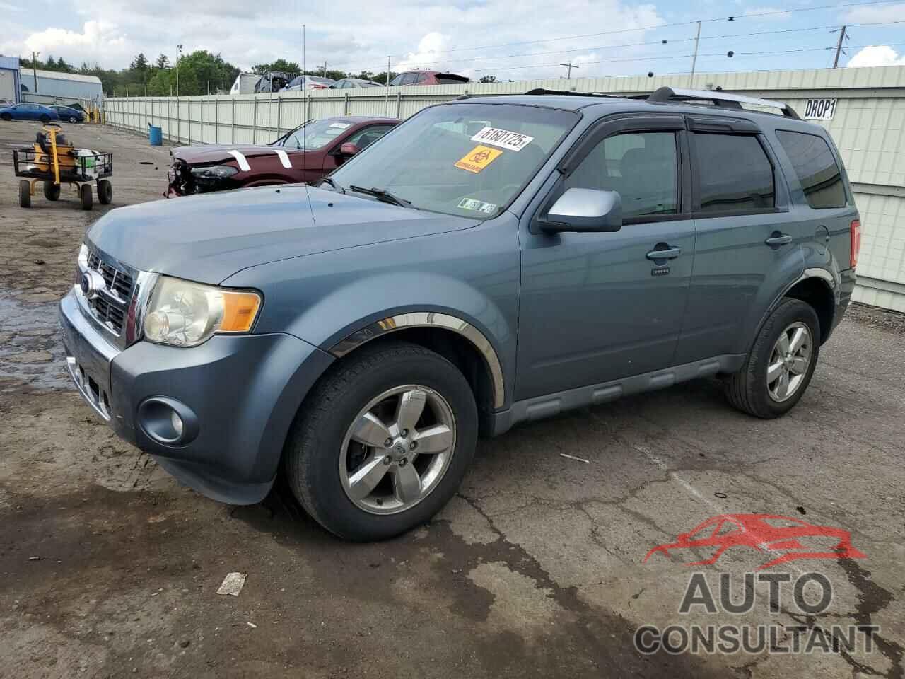 FORD ESCAPE 2010 - 1FMCU9EG1AKC28781