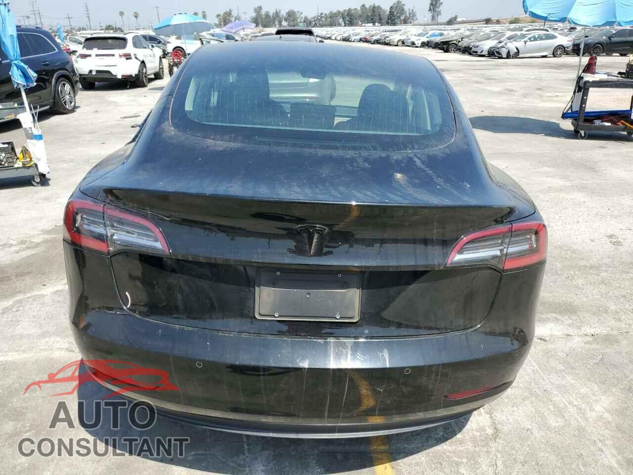 TESLA MODEL 3 2019 - 5YJ3E1EA0KF307064