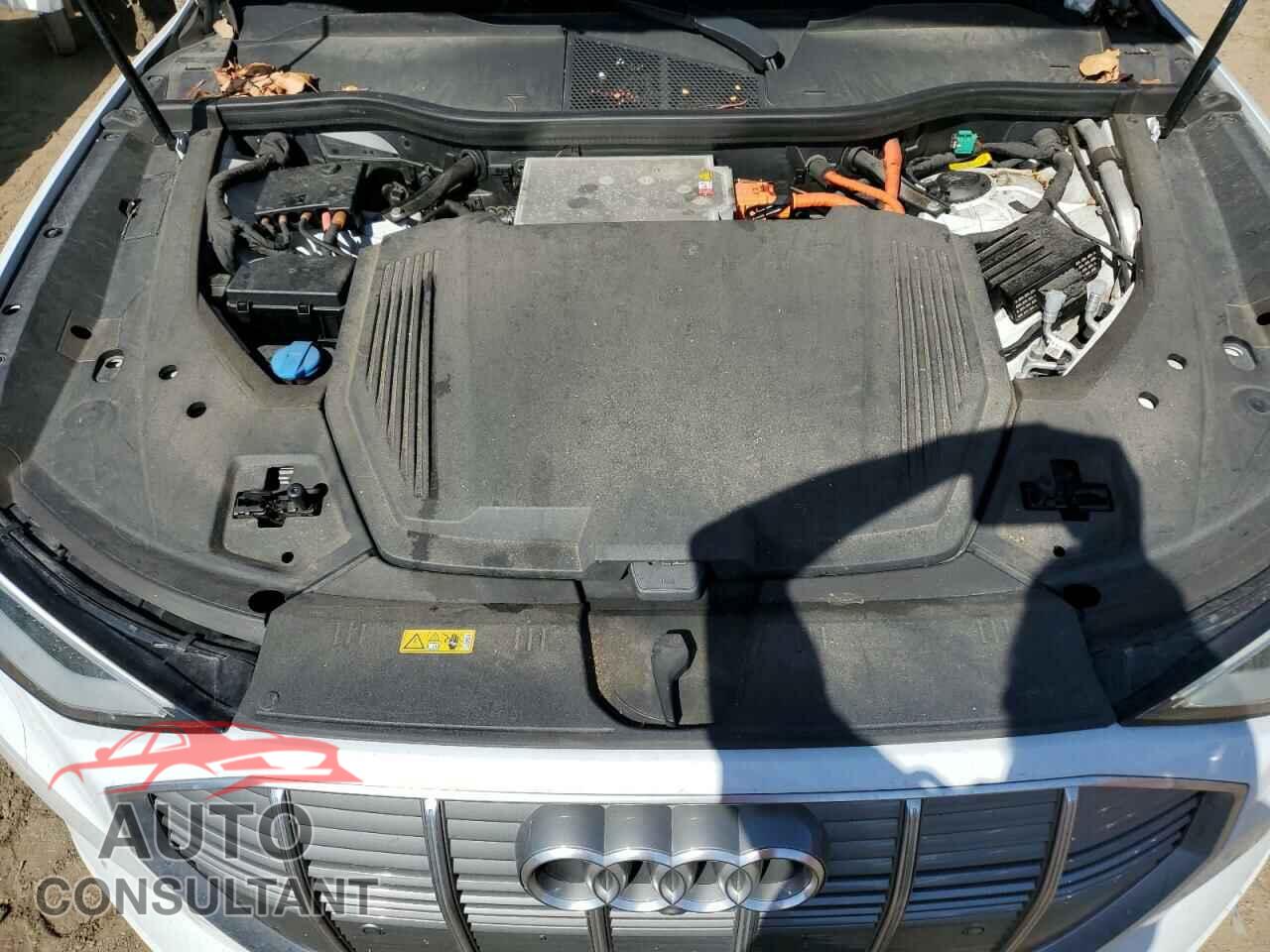AUDI E-TRON 2019 - WA1VAAGE2KB014560
