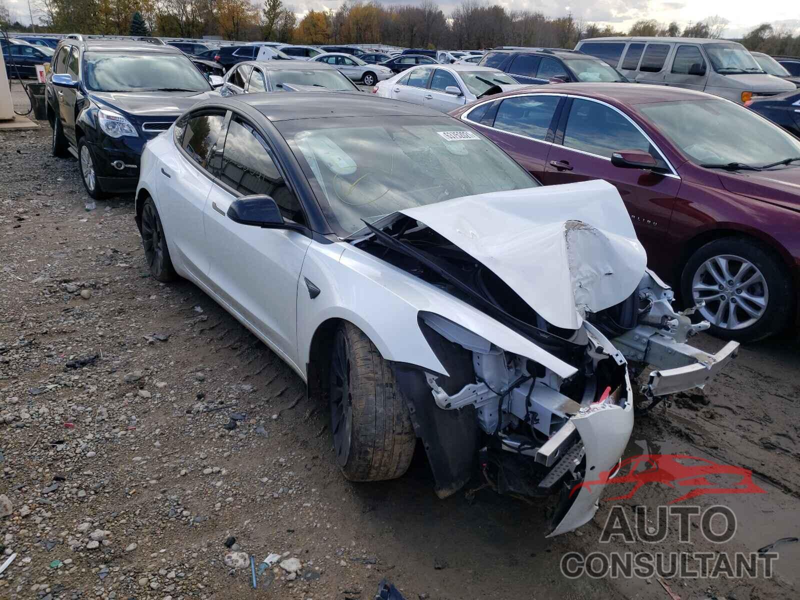 TESLA MODEL 3 2021 - 5YJ3E1EC8MF919291