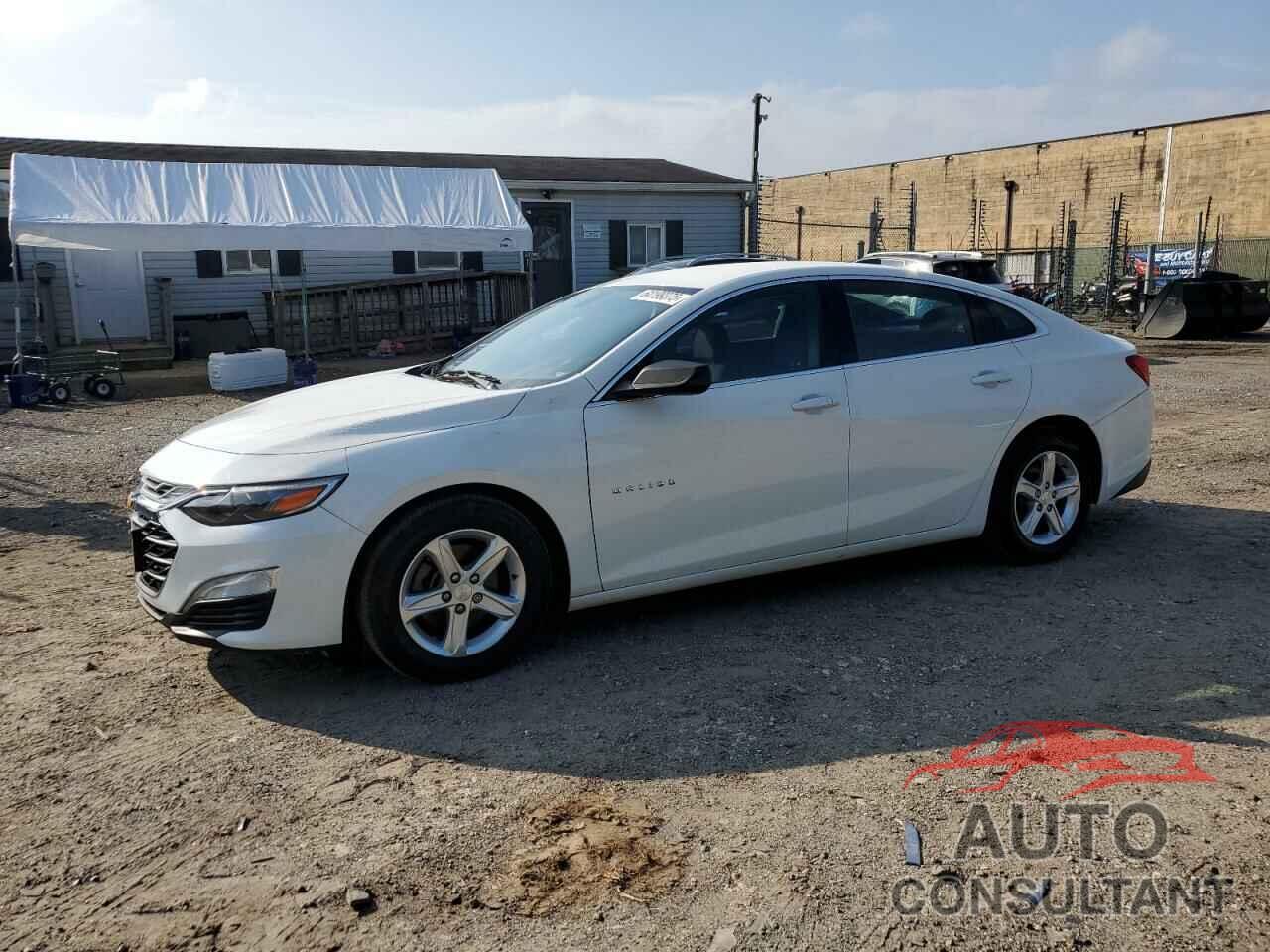 CHEVROLET MALIBU 2019 - 1G1ZB5ST5KF123579